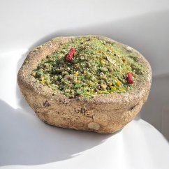 Vnadící krmítková směs - ČESNEK