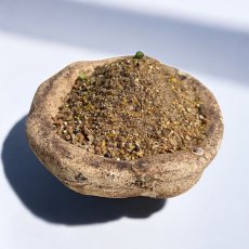 Vnadící krmítková směs - ČESNEK / CHILLI