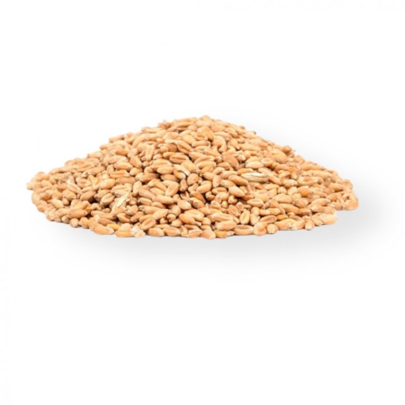 Návnady pro ryby - Sušený partikl - pšenice