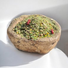 Vnadící krmítková směs - ČESNEK