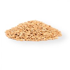 Návnady pro ryby - Sušený partikl - pšenice
